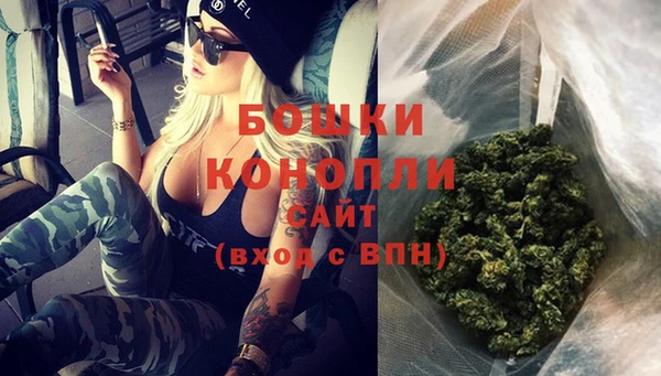 индика Богородицк